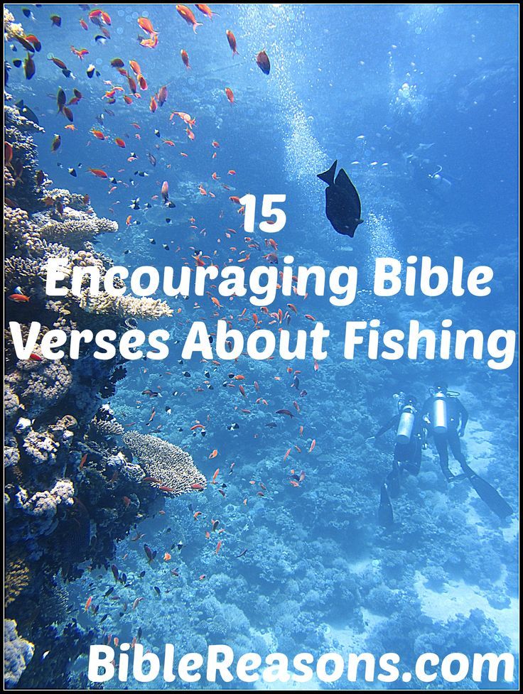 15 alentadores versículos bíblicos sobre la pesca (pescadores)