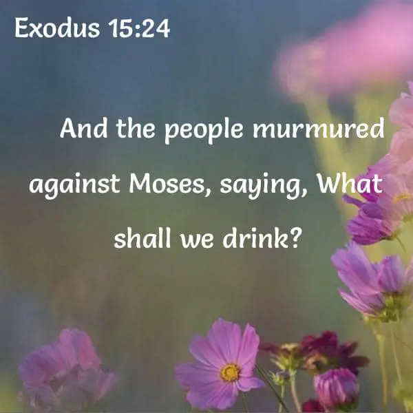 20 versículos bíblicos importantes sobre murmurar (¡Deus odia murmurar!)