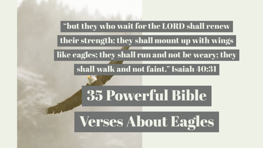 21 fantastiska bibelverser om att flyga (som en örn högt upp)
