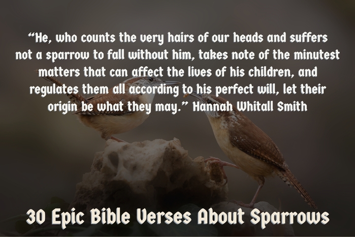 30 epyske bibelfersen oer sparrows en soargen (God sjocht dy)