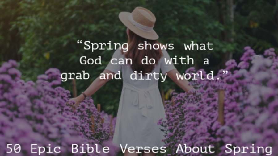 50 versículos bíblicos épicos sobre la primavera y la nueva vida (esta estación)