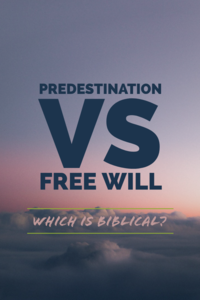 Predestinación y libre albedrío: ¿qué es bíblico? (6 hechos)