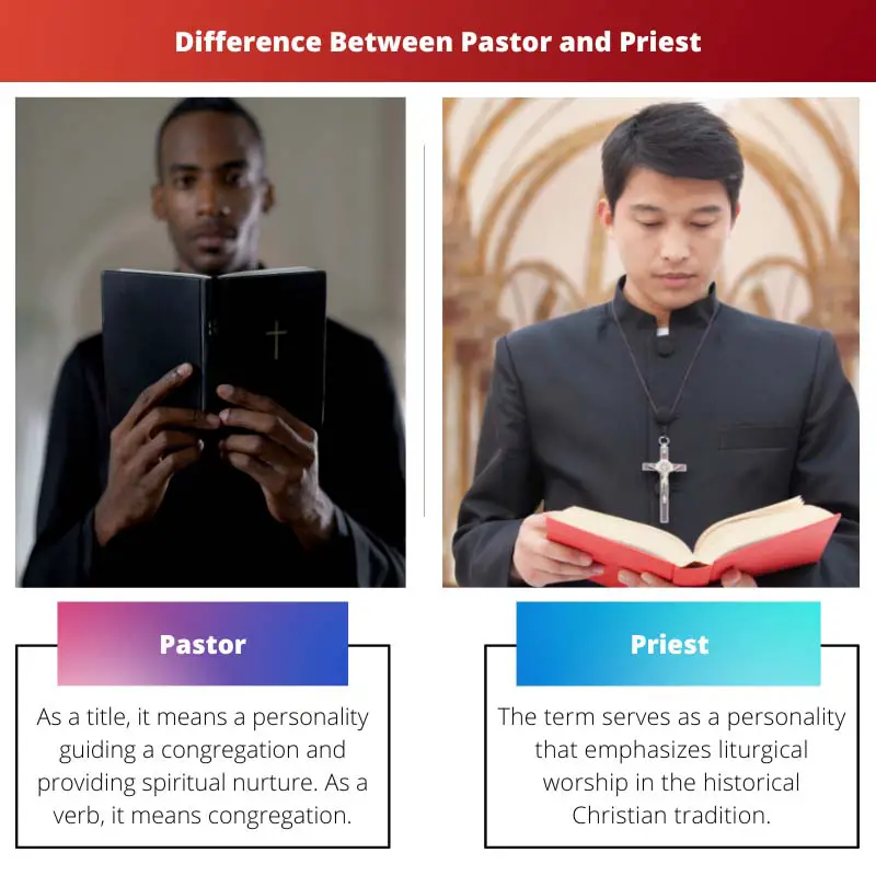Sacerdot vs Pastor: 8 diferències entre ells (definicions)